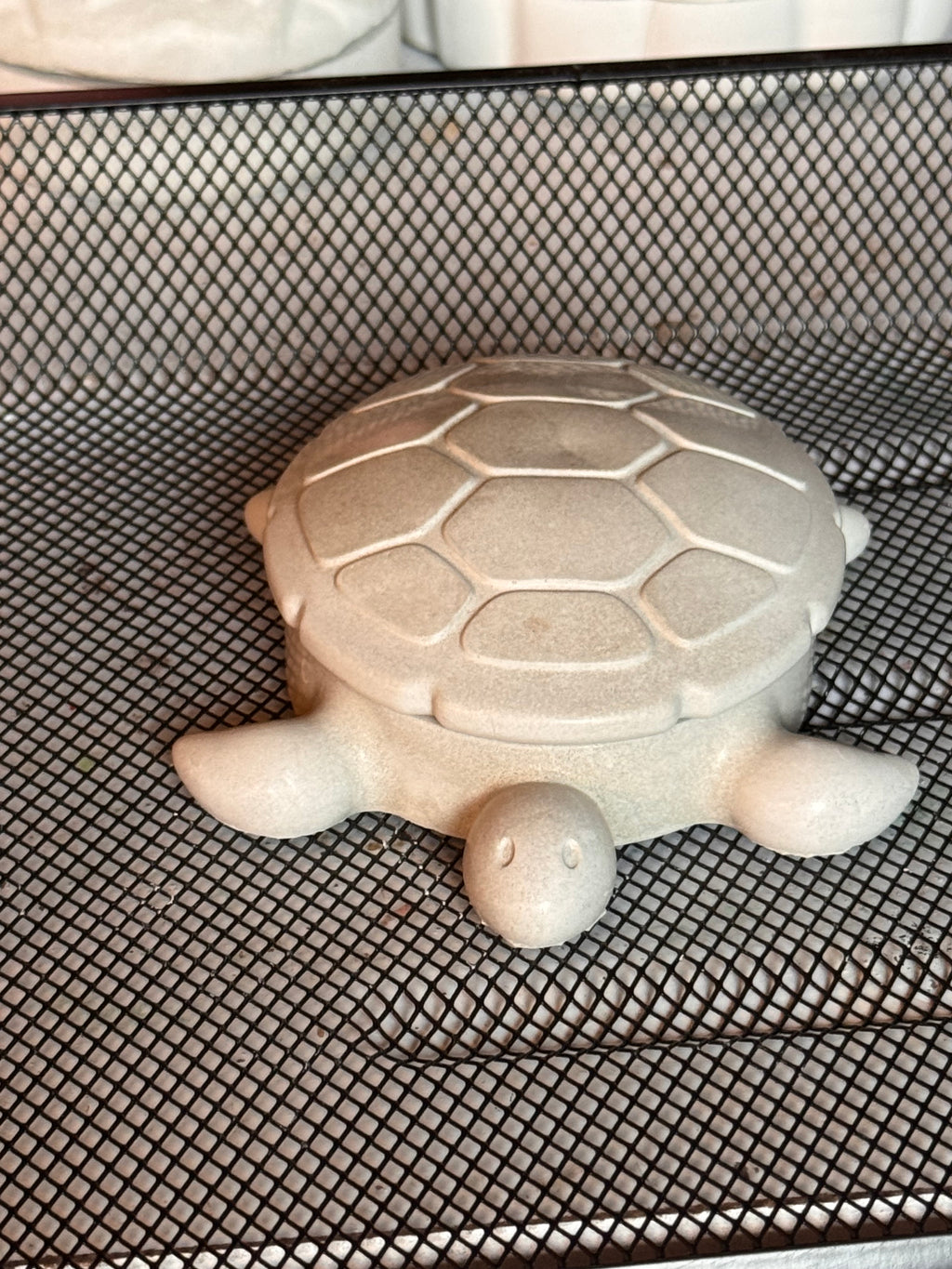 Turtle Dish with Lid Paint Kit