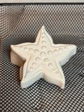 Starfish Paint Kit