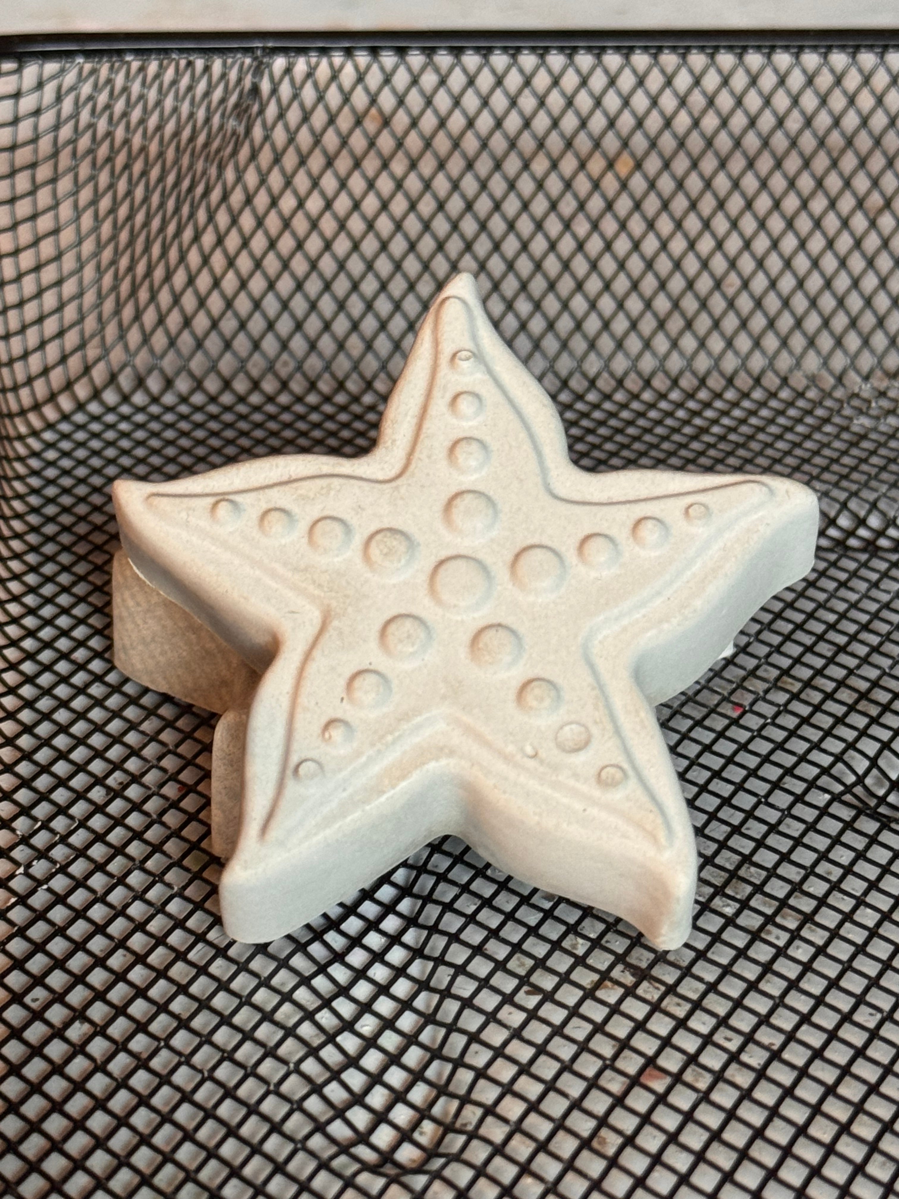Starfish Paint Kit