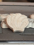 Seashell Paint Kit