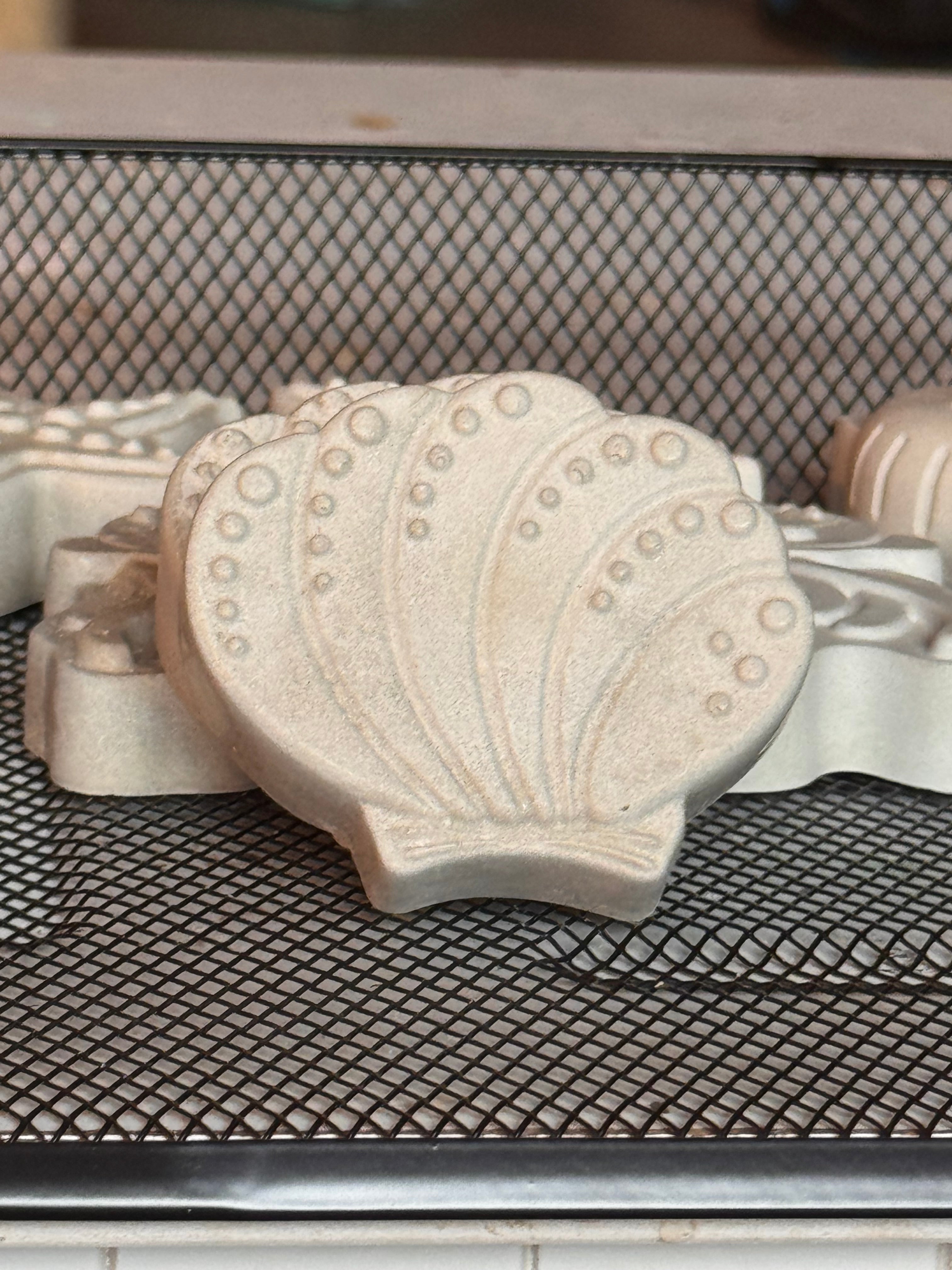 Seashell Paint Kit