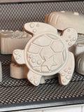 Turtle Paint Kit