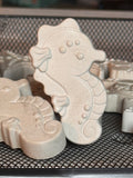 Seahorse Paint Kit