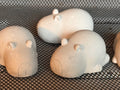 3D Capybara Paint Kit